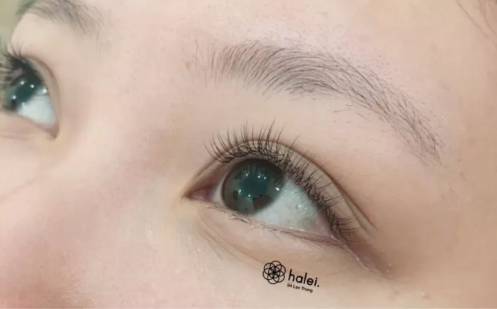 Địa chỉ nối mi tại Hà Nội uy tín nhất - Halei