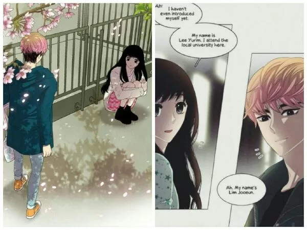 Manhwa hay nhất có nữ chính mạnh mẽ: My Beautiful World (Thế giới tươi đẹp của tôi)