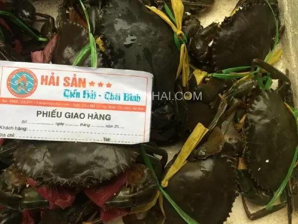 Hải sản Tiền Hải