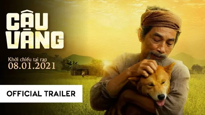 Cậu Vàng