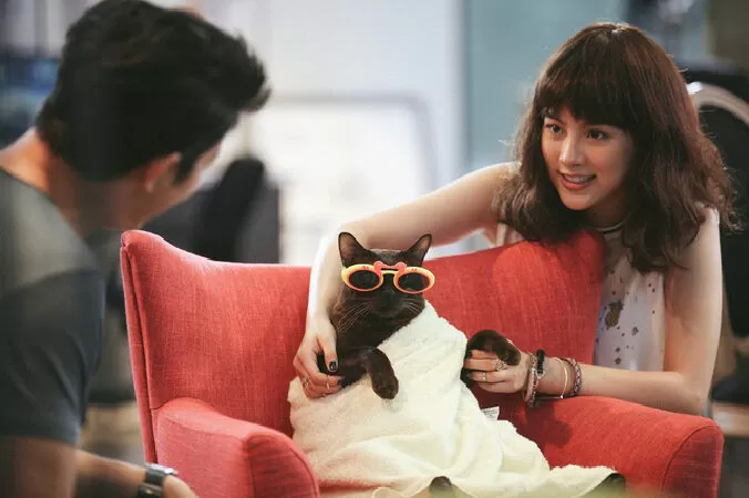 Cat A Wabb (Mèo mai mối)