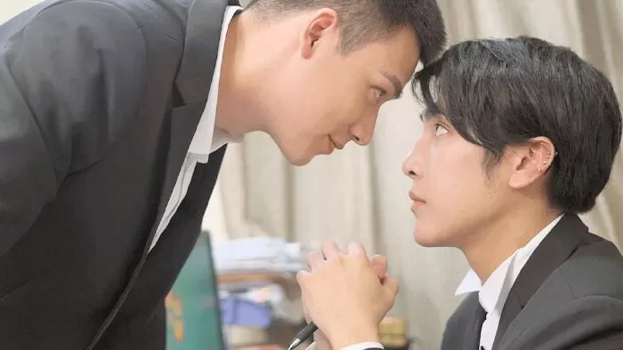 Capture Lover (phim đam mỹ Trung Quốc)