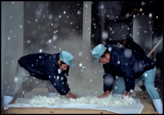 Phim tài liệu The Birth of Sake / Sự ra đời của rượu Sake