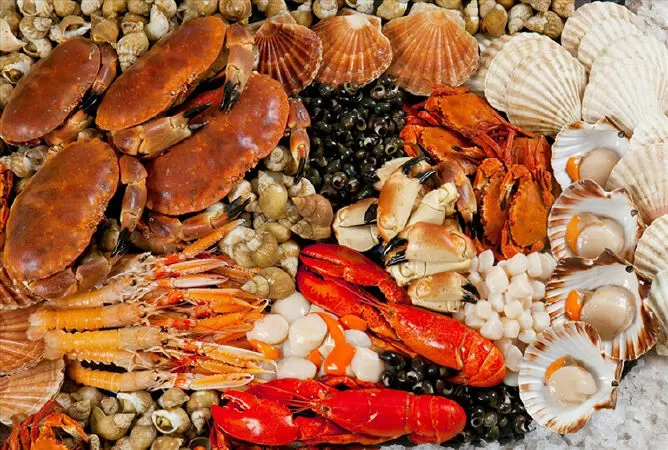 Động vật có vỏ