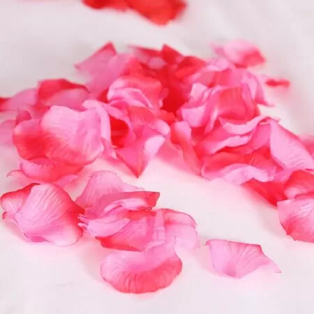 Tỏ tình
