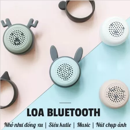 Loa bluetooth Maoxin ( 320.000 VNĐ)