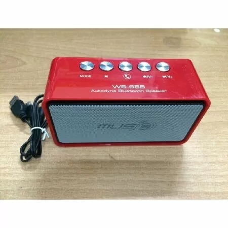 Loa bluetooth WS 655 ( 185.000 VNĐ)