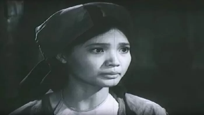 Bài phân tích Tức nước vỡ bờ của Ngô Tất Tố - Bài số 7