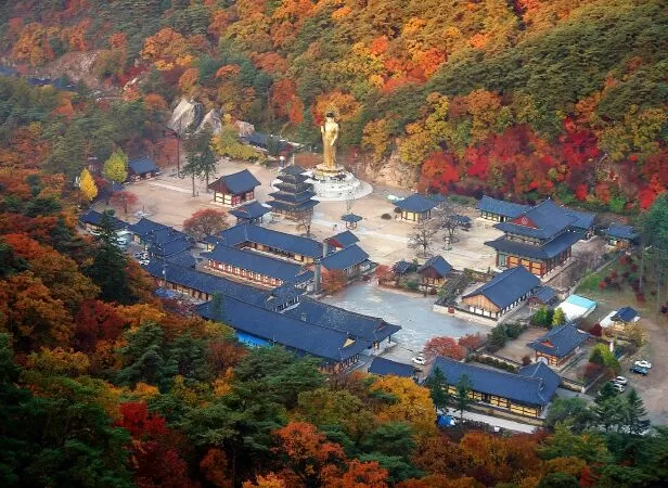 Chungcheong Bắc