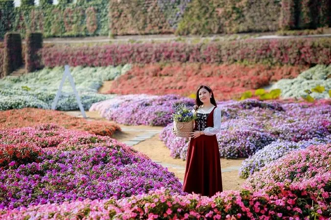 Thung lũng hoa Hồ Tây