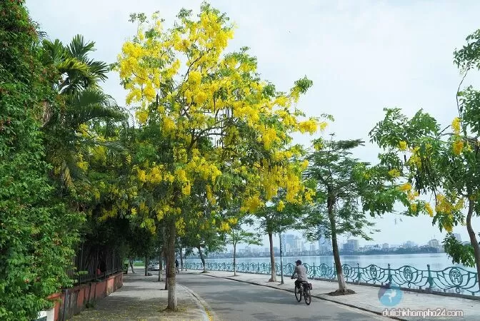 Công viên Hồ Tây