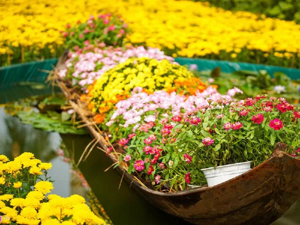 Chợ hoa Phú Mỹ Hưng