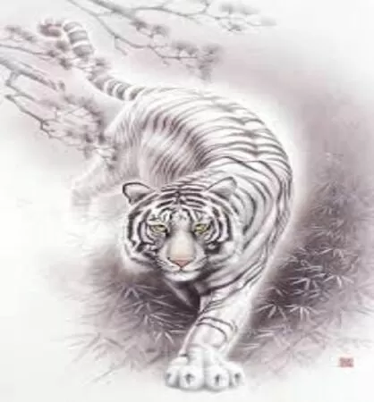 Bạch Hổ