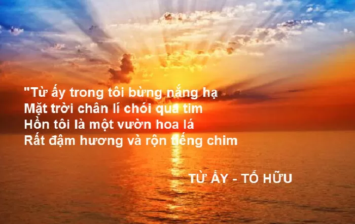 Bài văn phân tích Từ Ấy của Tố Hữu - Bài số 2