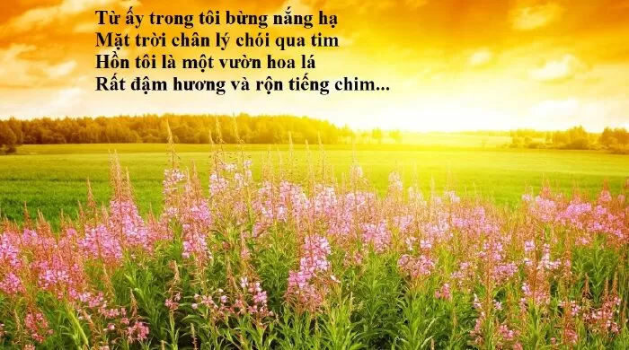Bài văn phân tích Từ Ấy của Tố Hữu - Bài số 10