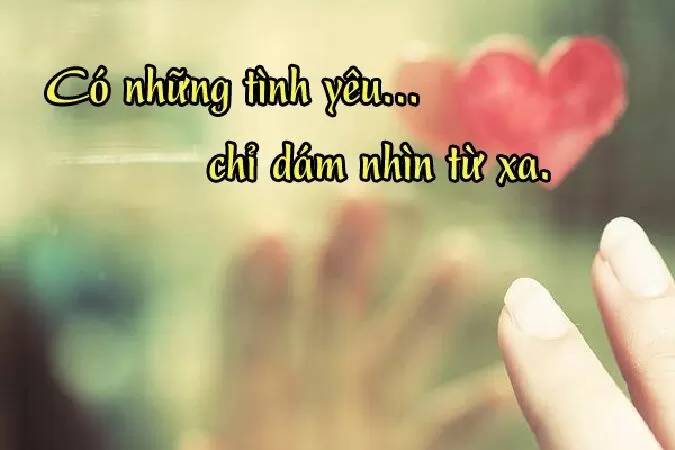 Ta Giấu