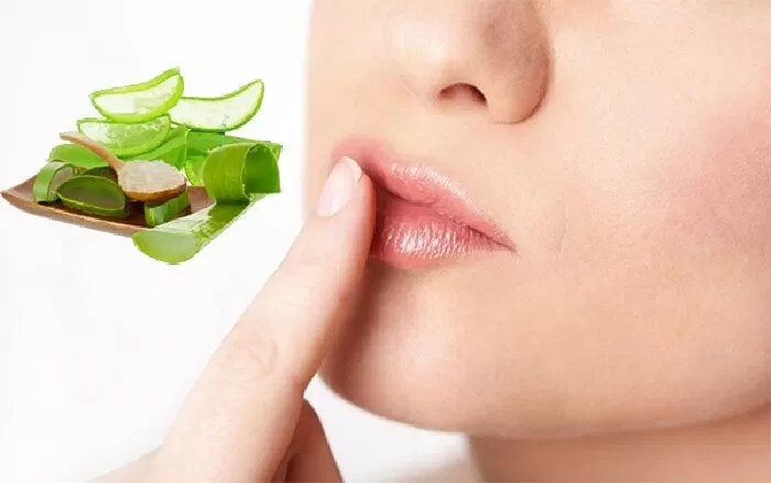 Trị khô môi bằng nha đam