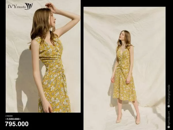 IVY moda