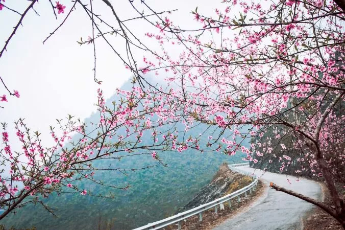 Bài văn phân tích bài thơ Mùa xuân nho nhỏ của Thanh Hải - Bài số 7