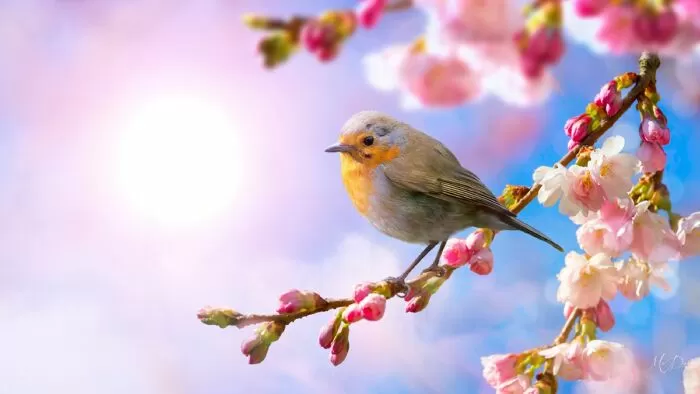 Bài văn phân tích bài thơ Mùa xuân nho nhỏ của Thanh Hải - Bài số 9
