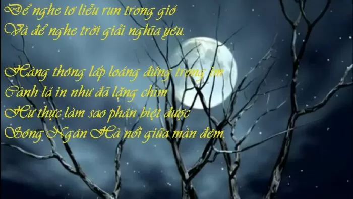 Đà Lạt Trăng Mờ