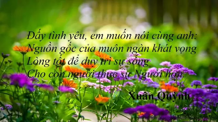 Nói Cùng Anh