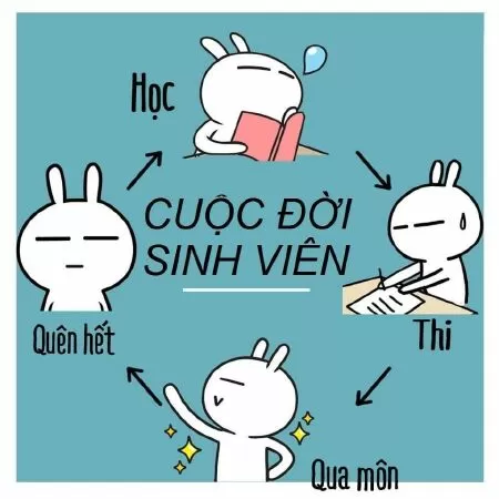 Troll Sinh Viên