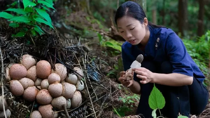 Dã Tiểu Muội - 野小妹wild girl