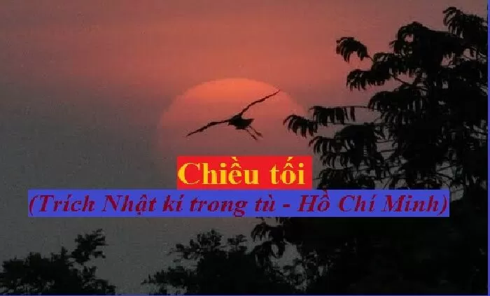 Bài văn phân tích Chiều Tối của Hồ Chí Minh số 4