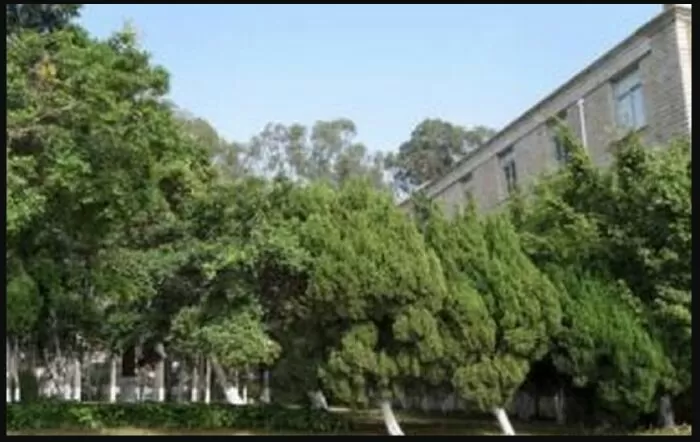 Động Thực Vật Đều Nghiêng Về Một Phía