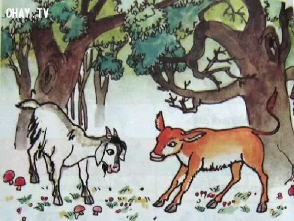 Gọi bạn - Định Hải