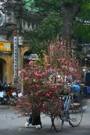 Chợ Tết - Đoàn Văn Cừ