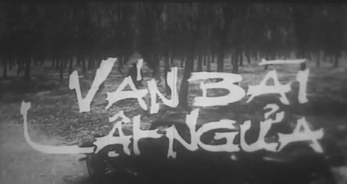 Phim điện ảnh Việt Nam hay nhất - Ván Bài Lật Ngửa