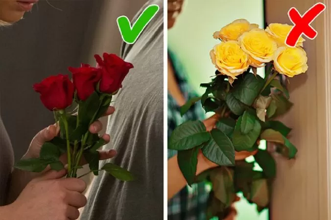 Không dùng hoa hồng vàng làm quà tặng