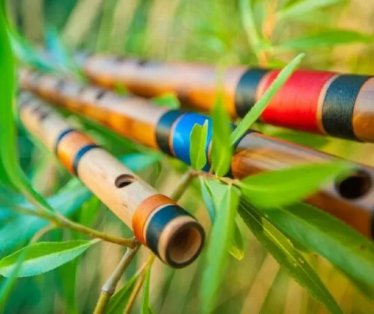 Tiếng trúc tuyệt vời