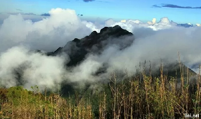 Mây núi
