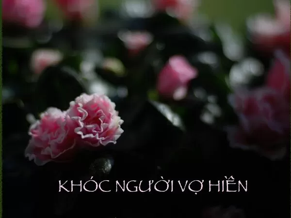 Khóc người vợ hiền
