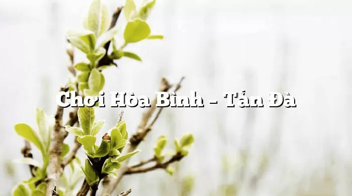Chơi Hòa Bình