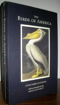The Birds of America