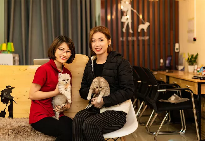 Azpet Shop