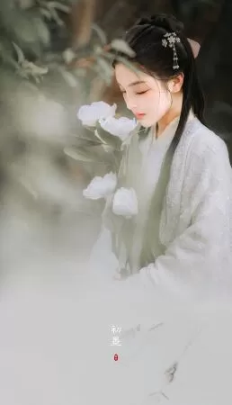 Bài văn phân tích Độc Tiểu Thanh kí số 3