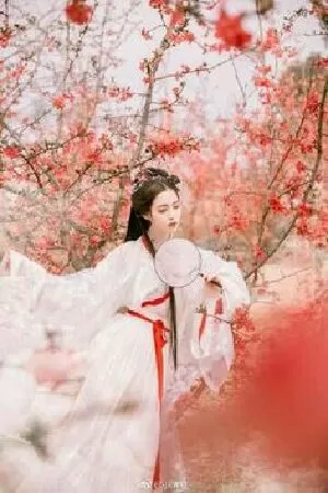 Bài văn phân tích Độc Tiểu Thanh kí số 9