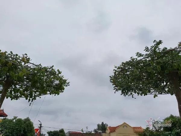Thôn Nam sơn tiểu khế