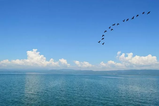 Chu thứ Hoàng Châu Vương Chính đường xuất chỉ cầu thi tức khắc tặng chi