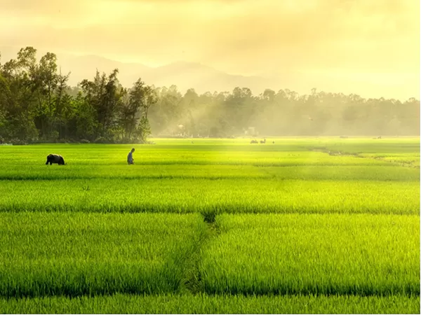 Bài học đầu cho con - Đỗ Trung Quân