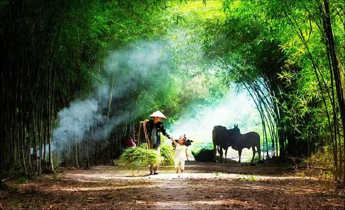 Quê hương - Tế Hanh