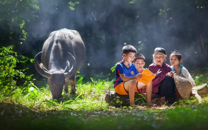 Đường về quê mẹ - Đoàn Văn Cừ