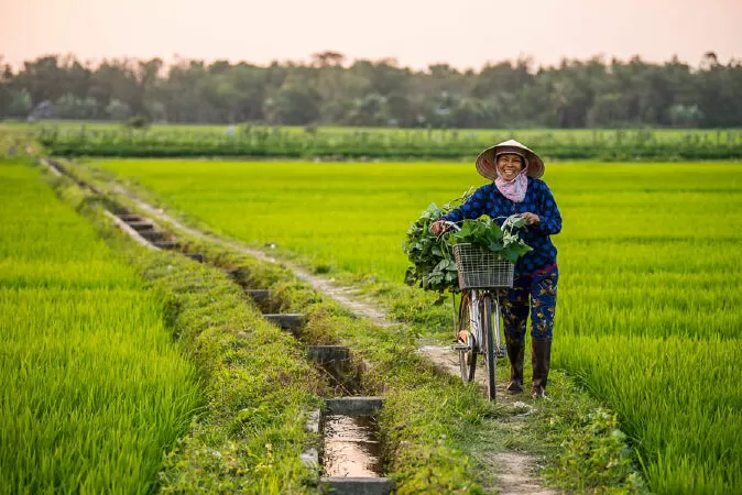 Nước non ngàn dặm - Tố Hữu