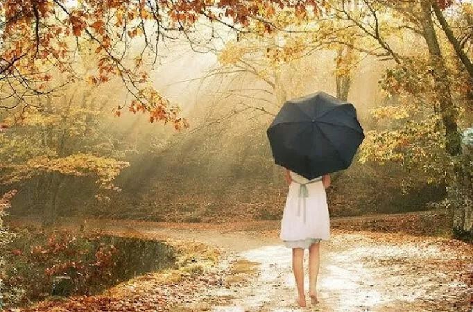 Giọt Nước Mắt Muộn Màng