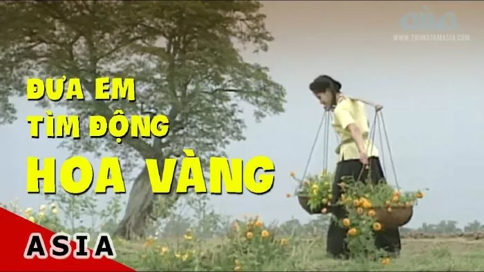 Đưa em tìm động hoa vàng
